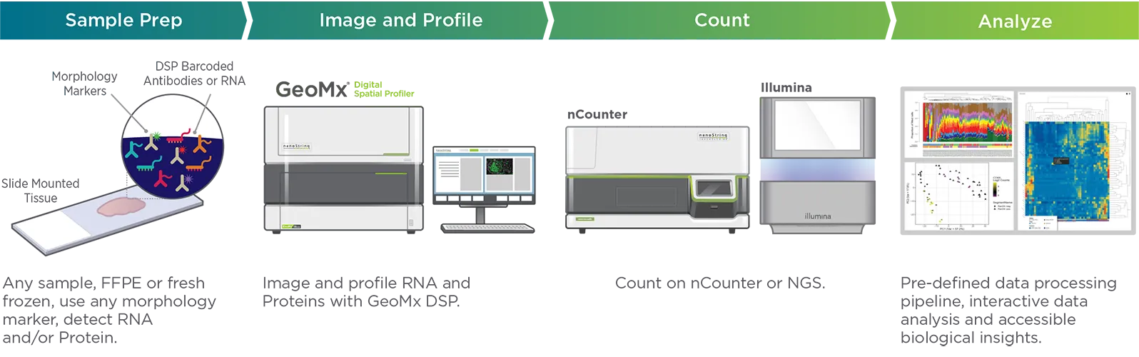 GeoMx DSP workflow