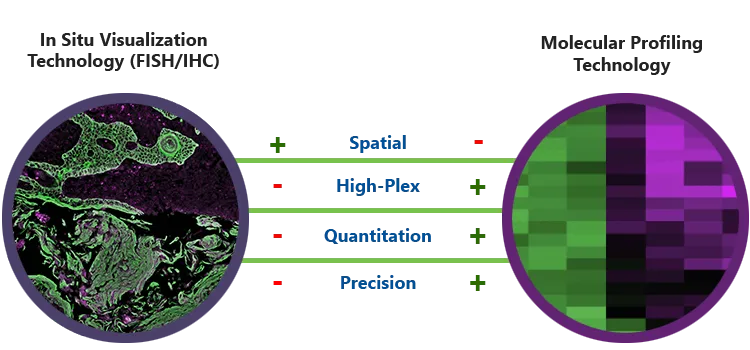 cellular heterogeneity and spatial organization play a critical role in disease progression