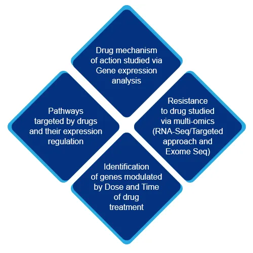 Targeted Gene Expression